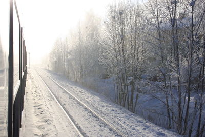 Railroad tracks amidst bare trees during winter