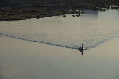 High angle view of man on beach