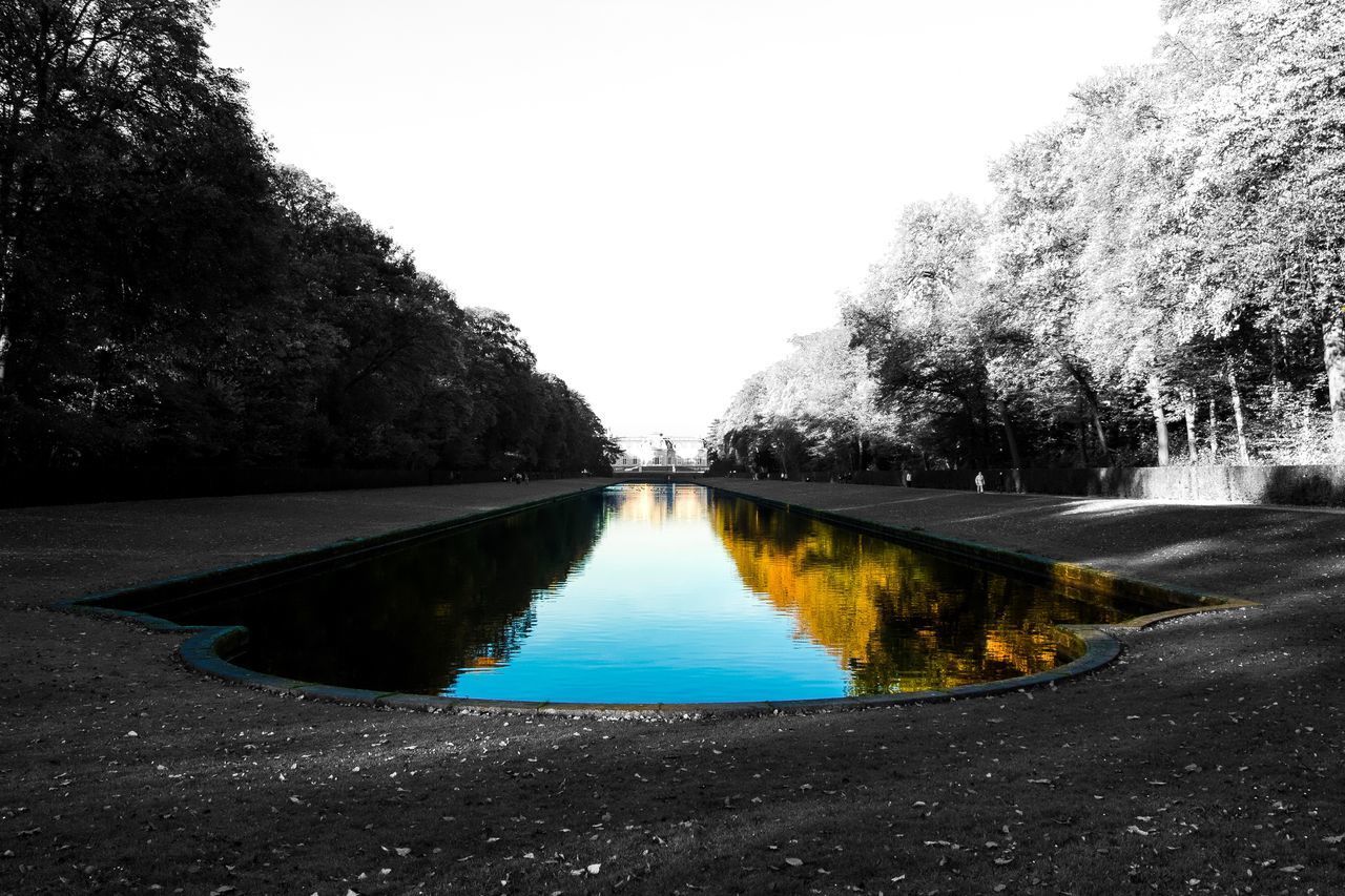 LAKE AMIDST TREES AGAINST CLEAR SKY