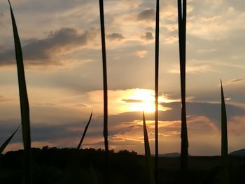 Scenic view of cloudy sky at sunset