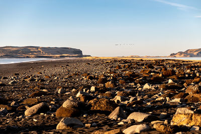 Scenic view of sea against clear sky