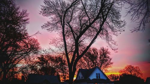 Low angle view of silhouette trees against sky