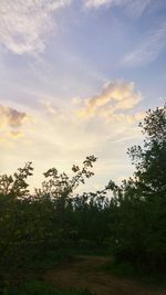 Scenic view of grassy field against cloudy sky