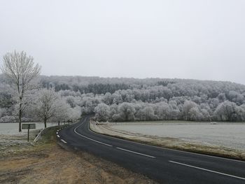 Road by bare trees against clear sky