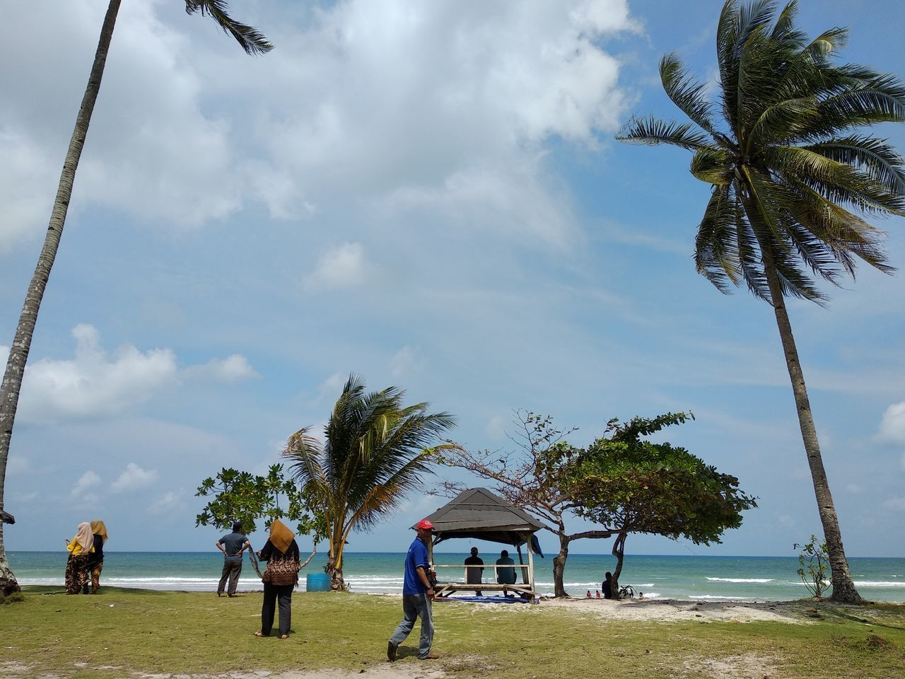 SCENIC VIEW OF PALM TREES ON BEACH