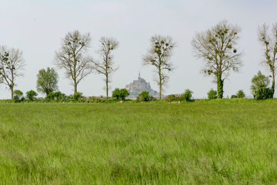 Scenic view of field against clear sky