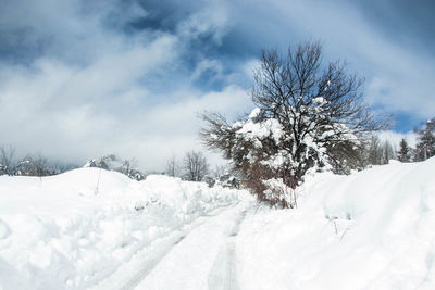 Snow covered trees on field against sky