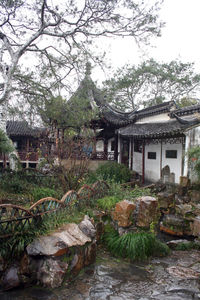 Houses with trees in background