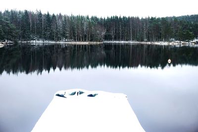 Reflection of trees in lake against sky