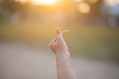 Close-up of person hand