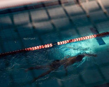 High angle view of fish swimming in pool