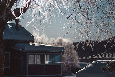 Frozen bare trees and buildings against sky during winter