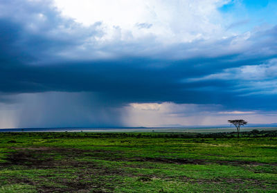 Scenic view of field against sky