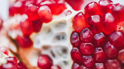 Close-up of red berries