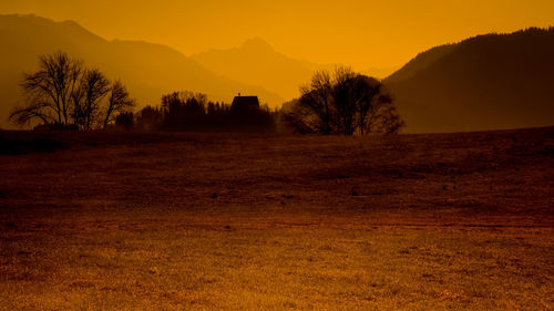 Silhouette trees on field against sky during sunset