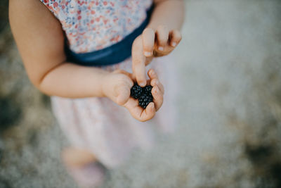 Close-up of hand holding berries