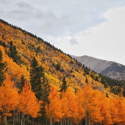 Scenic view of mountain against cloudy sky