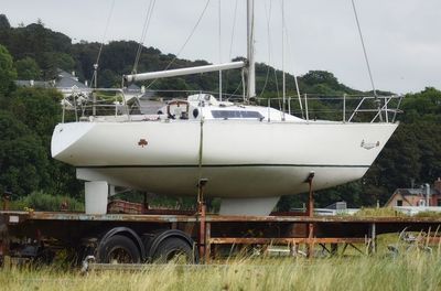 Sailboats moored on riverbank against sky