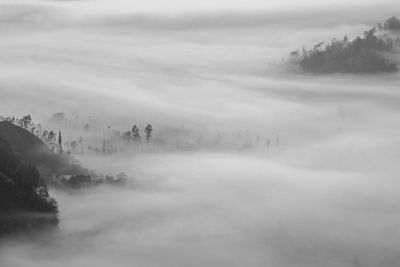 Scenic view of landscape against sky during foggy weather