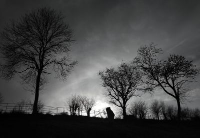 Silhouette bare trees on field against sky