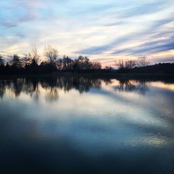 Reflection of trees in calm lake