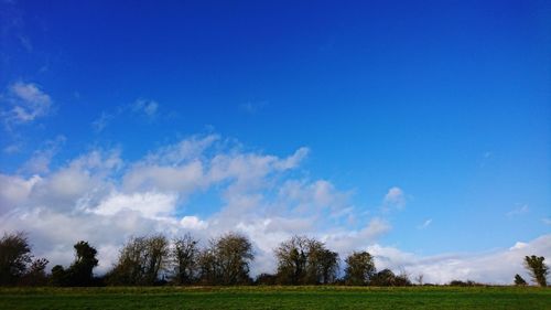 Trees on field against blue sky