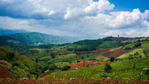 Scenic view of landscape against sky