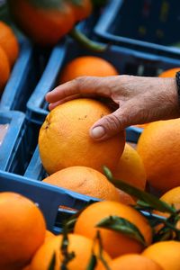 Cropped hand picking orange fruit in market