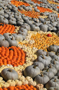 High angle view of vegetables for sale at market stall