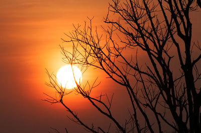 Silhouette of bare trees against sky during sunset