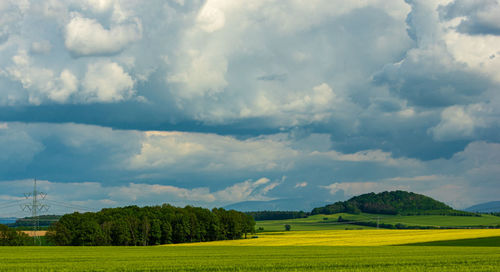 Scenic view of agricultural field against sky