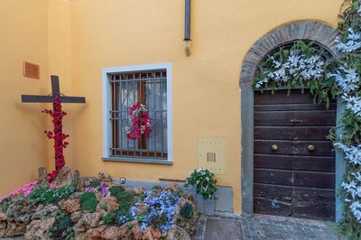 Potted plant on window of building