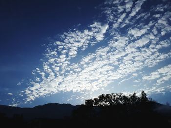 Low angle view of silhouette tree against sky