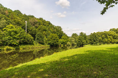 Scenic view of trees on field against sky