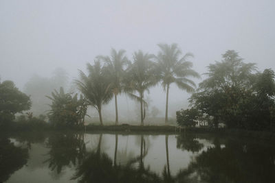 Reflection of trees in lake against sky