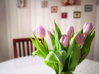 Tulips in home