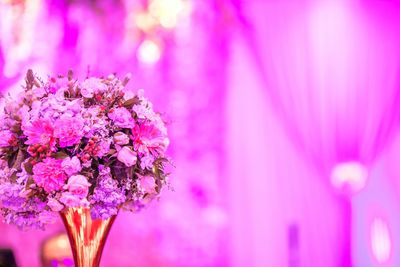 Close-up of pink flowers blooming outdoors