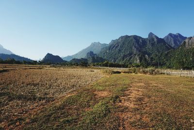 Scenic view of field against clear sky