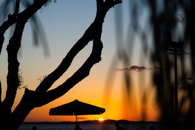 Silhouette trees by sea against sky during sunset