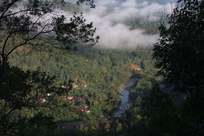 Scenic view of forest against sky