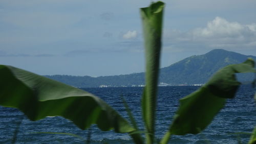 Close-up of water against sky