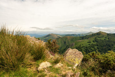 Scenic view of landscape against sky