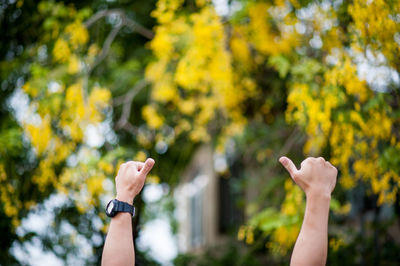 Cropped hands of person gesturing against trees