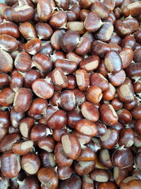 Full frame shot of coffee beans