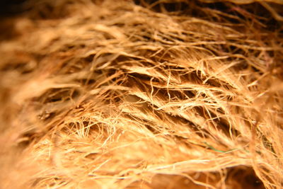 Full frame shot of bonfire