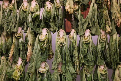 Bok choys hanging on string for sale at market