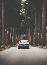 Car on road amidst trees in forest