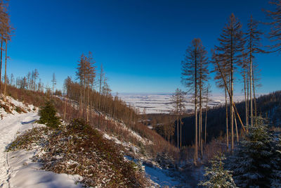 Scenic view of snowcapped mountains against clear blue sky