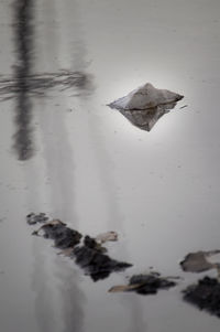 High angle view of leaf floating on water