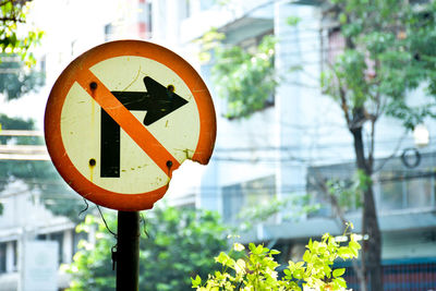 Close-up of road sign against building